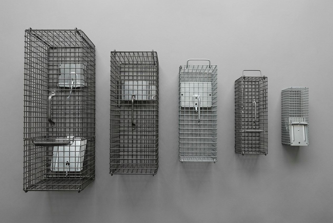 Comparatif de cinq modèles de pièges à rat cage différents vus de dessus